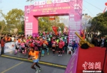 图为江苏泰州首场国际半程马拉松赛开跑。　颜禹铭 摄 - 江苏新闻网