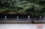 12月7日，侵华日军南京大屠杀遇难同胞纪念馆内的工作人员擦拭幸存者脚印铜板路。中新社记者 泱波 摄 - 江苏新闻网