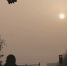 ▶1日，南京大雾持续，新年的首轮红日从晨雾中升起。新华报业视觉中心记者 宋宁 摄 - 新浪江苏