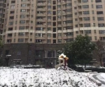 暴雪天南京一小区内一女子赤身跪雪地 物业已报警处理 - 新浪江苏