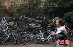 南京校园内的单车“坟场”。　泱波 摄 - 江苏新闻网