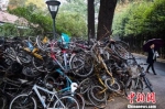 废弃的共享单车不仅是巨大的浪费，也给城市管理带来困难。　泱波 摄 - 江苏新闻网
