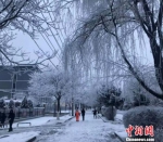 1月5日，甘肃武威市古浪县落雪后银装素裹。　钟欣 摄 - 妇女联合会