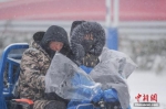 1月25日，安徽合肥降下大雪。 张娅子 摄 - 江苏新闻网