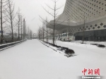 图为25日起，江苏多地迎强降雪。图为南京出现积雪。　杨颜慈 摄 - 江苏新闻网