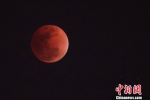 1月31日晚，超级“蓝血”月全食如约登临夜空。图为最精彩的“血色”月全食在北京时间20时51分如约上演。　泱波 摄 - 江苏新闻网