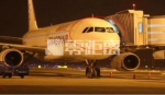 南京禄口机场小鸟撞上飞机 150人遭遇惊险一幕 - 新浪江苏