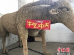 “牛气冲天”的稻草牛价格超过真牛。　刘林 摄 - 江苏新闻网