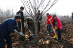 扬州国税参加2018年度市级义务植树活动 - 国家税务局