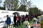 图为扬州市举行生态葬集中安放仪式。　崔佳明 摄 - 江苏新闻网