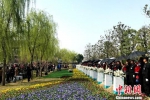 图为扬州市举行生态葬集中安放仪式。　崔佳明 摄 - 江苏新闻网