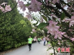 图为阳山半程马拉松赛道两边的“花红柳绿”，景美清幽。　孙权 摄 - 江苏新闻网