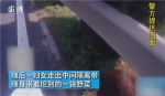 淮安村民“组团”上高速挖野菜 民警冒险车流中劝离 - 新浪江苏