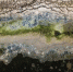 图为2018年3月30日在江苏连云港燕尾港镇化工园区内拍摄的一处水塘，离海一堤之隔的池塘水和岸滩“五颜六色”。记者 李响 摄 - 江苏新闻网