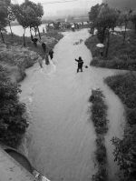 村组长排雨水坠入涵洞 警民联手救起已不幸身亡 - 新浪江苏