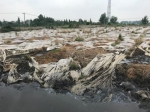 污泥堆存现场触目惊心。图片来源：生态环境部网站。 - 江苏新闻网