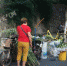 端午佳节临近，南京街头多了不少卖艾草的摊贩。 - 新浪江苏