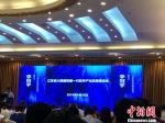 26日，江苏省大数据和新一代软件产业发展推进会在南京举行。　朱晓颖　摄 - 江苏新闻网