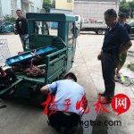 民警凭伤者“4个字”和监控细节“堵住”逃逸司机 - 新浪江苏