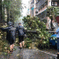 南京市政城管部门工作人员在街头忙着运走倾倒树木。 - 江苏新闻网