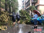南京市政城管部门工作人员在街头忙着运走倾倒树木。 - 江苏新闻网