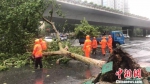 不少粗壮的大树也被狂风击倒。 - 江苏新闻网