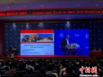 18日上午，“2018紫金论电——智能电网保护和运行控制国际学术研讨会”在南京举行。中外电力专家与会。　朱晓颖 摄 - 江苏新闻网