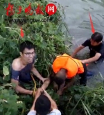 男子跳河僵持6小时不让人靠近 民警强行施救被抓伤 - 新浪江苏