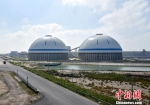 两个巨大的穹顶储煤仓。滨海县委宣传部供图 - 江苏新闻网