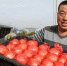 瞧瞧这些村咋富起来的——黑龙江省牡丹江市发展特色精品农业促农增收 - 江苏音符