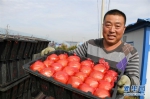 瞧瞧这些村咋富起来的——黑龙江省牡丹江市发展特色精品农业促农增收 - 江苏音符