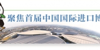 首届中国国际进口博览会圆满收官 江苏交易团"准主场"上显担当 - 新华报业网