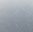 图为南京深陷雾霾锁城。　泱波　摄 - 江苏新闻网