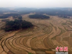 资料图：土地。　蒋雪林 摄 - 江苏新闻网