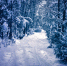 今日大雪|在最美的诗词里，遇见最美的雪景 - 江苏音符
