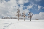 今日大雪|在最美的诗词里，遇见最美的雪景 - 江苏音符