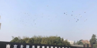 13日上午10时整，南京大屠杀死难者国家公祭仪式在侵华日军南京大屠杀遇难同胞纪念馆举行。　朱晓颖　摄 - 江苏新闻网