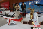 现场展出各种飞行器模型。　泱波 摄 - 江苏新闻网