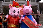萌宠“佩奇”现身挂春联现场，为猪年春节带来生机活力。 - 江苏新闻网