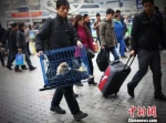资料图：带着狗狗去乘车，吸引旅客的眼球。　泱波 摄 - 新浪江苏
