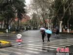 20日午后南京突降雷阵雨，市民撑伞出行。　杨颜慈 摄 - 江苏新闻网