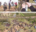 万人植树 播种春天——公益行动在全省开展 - 广播电视总台