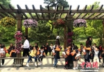 图为一群小朋友在万花园赏花游玩。　崔佳明　摄 - 江苏新闻网