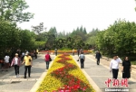 图为4月8日，扬州“万花会”开幕，吸引众多中外游客前来踏青赏花。　崔佳明 摄 - 江苏新闻网