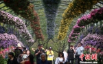 图为游客在万花园踏青赏花。　孟德龙 摄 - 江苏新闻网