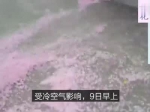 视频：南京现樱花龙卷风 花瓣洒落一地被风卷起 - 新浪江苏