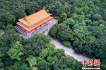 南京唯一一处世界级文化遗产明孝陵，是最著名的明清皇家陵墓之一。　泱波 摄 - 江苏新闻网