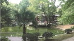 古林公园发绿的水塘 - 新浪江苏