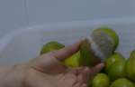 在CoCo奶茶店发现的霉变柠檬 本文图均为淮安电视台视频截图 - 新浪江苏