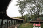 熊猫馆位置位于南京城郊，为青山绿水所环抱，环境清幽。　泱波 摄 - 江苏新闻网